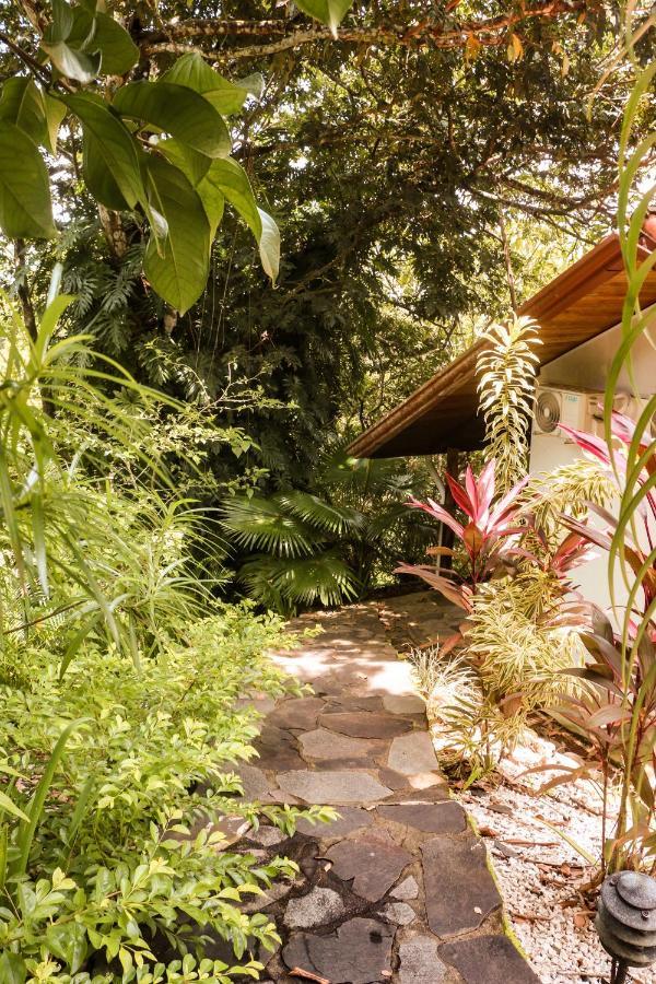 Finca Los Caballos مونتيزوما المظهر الخارجي الصورة