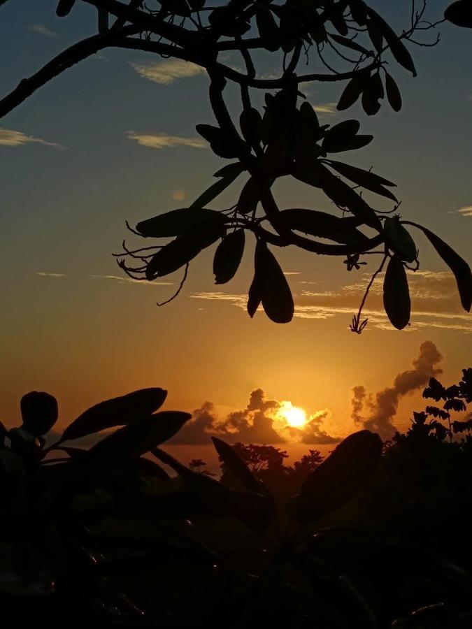Finca Los Caballos مونتيزوما المظهر الخارجي الصورة