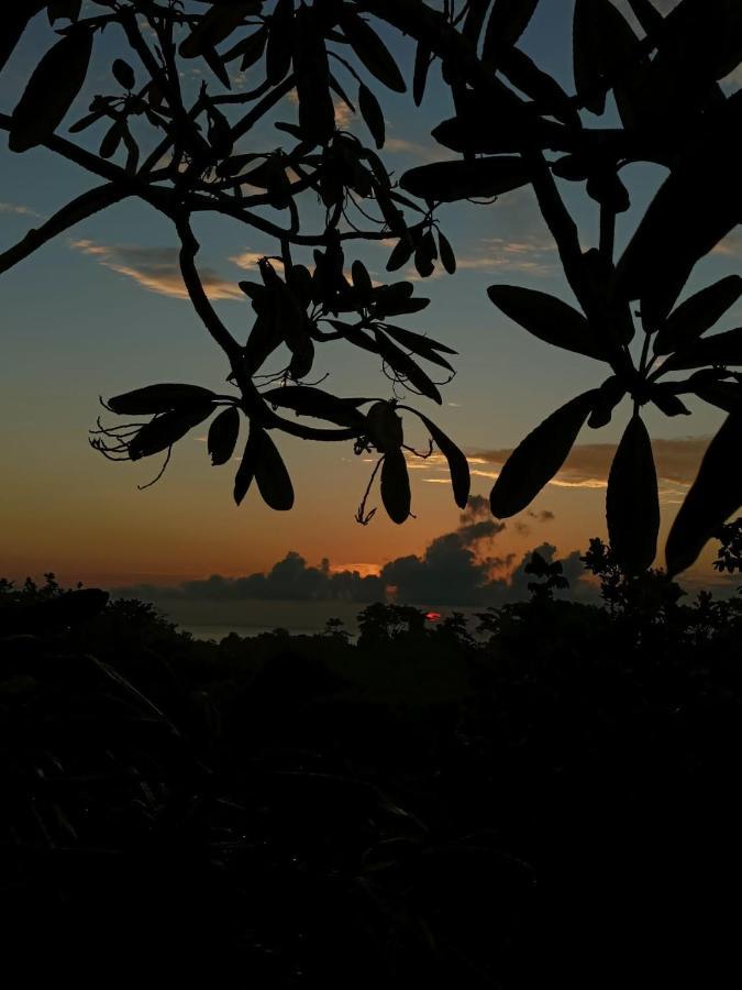 Finca Los Caballos مونتيزوما المظهر الخارجي الصورة