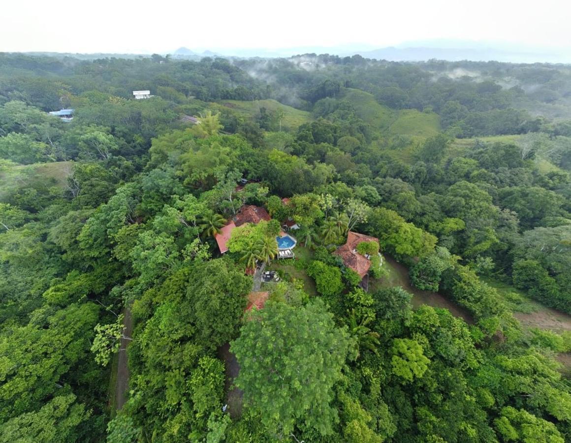 Finca Los Caballos مونتيزوما المظهر الخارجي الصورة