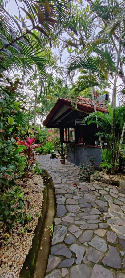Finca Los Caballos مونتيزوما المظهر الخارجي الصورة