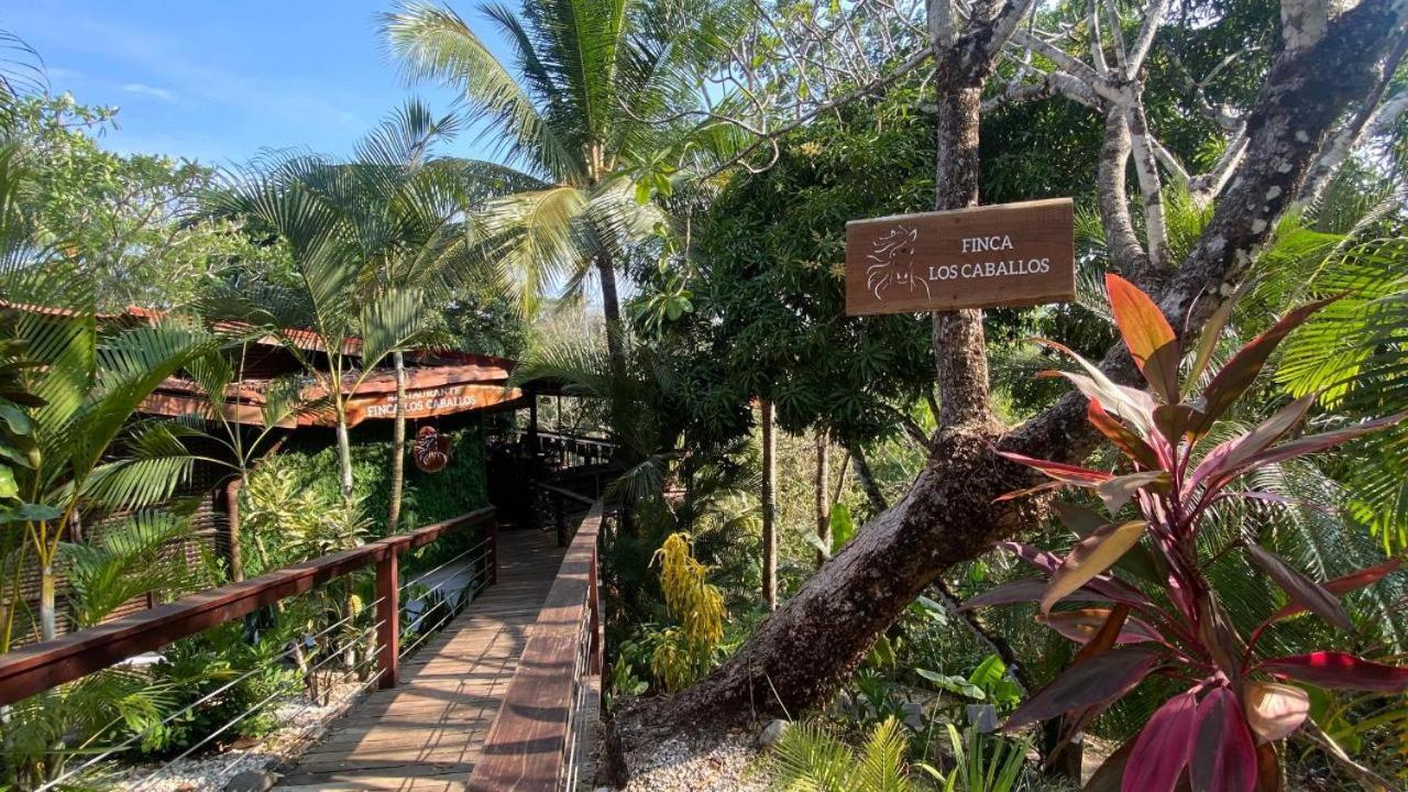 Finca Los Caballos مونتيزوما المظهر الخارجي الصورة