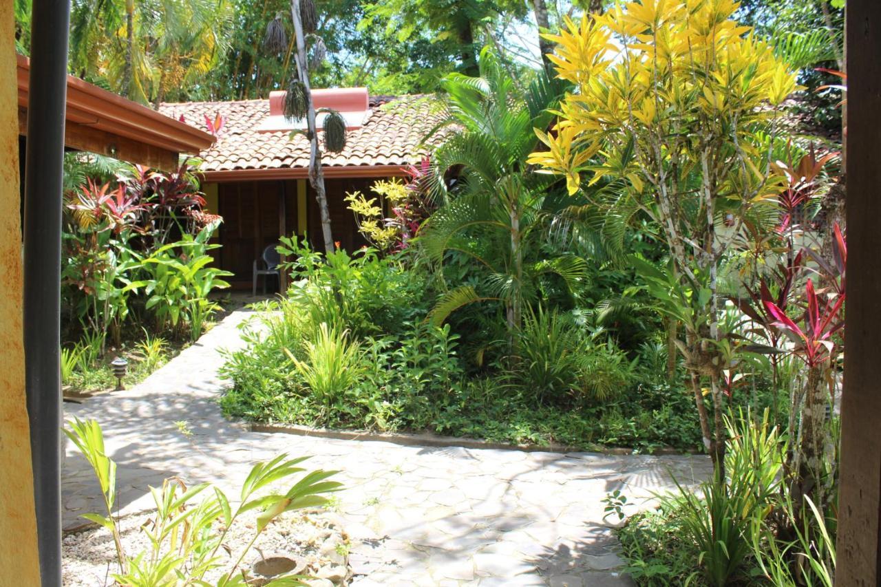 Finca Los Caballos مونتيزوما المظهر الخارجي الصورة